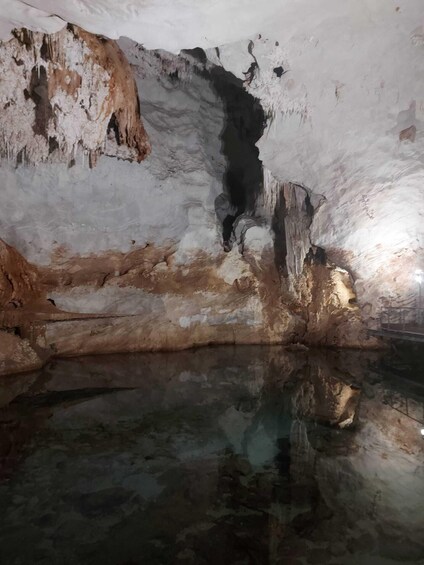 Picture 13 for Activity Grotta del Bue Marino and Cala Luna Boat Tour 3