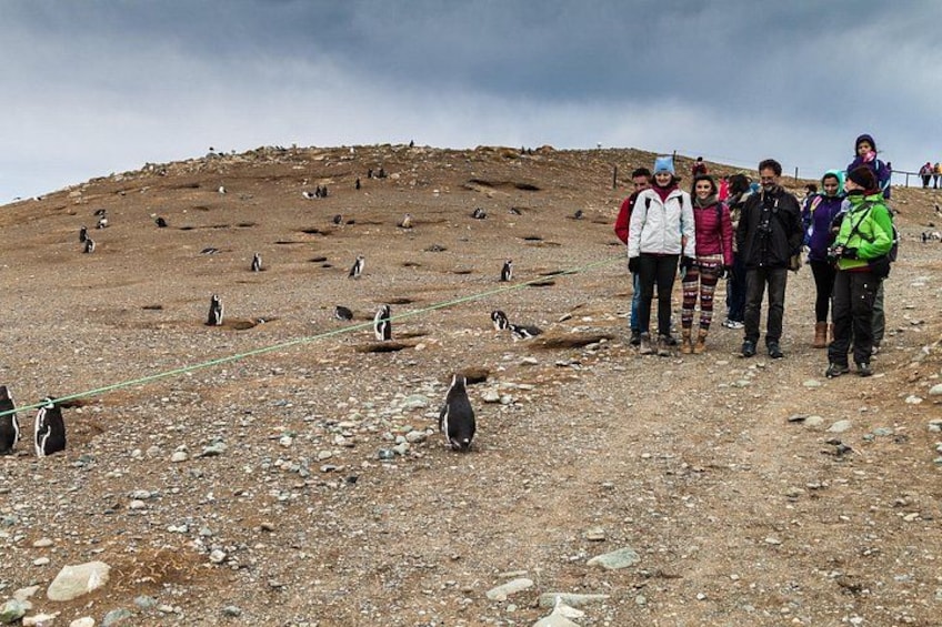 Un groupe de personnes se tient sur un terrain rocheux, avec des pingouins en arrière-plan. 3