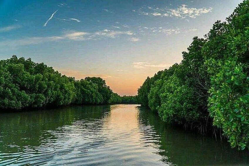 A calm river flanked by dense green foliage under a clear sky. 3