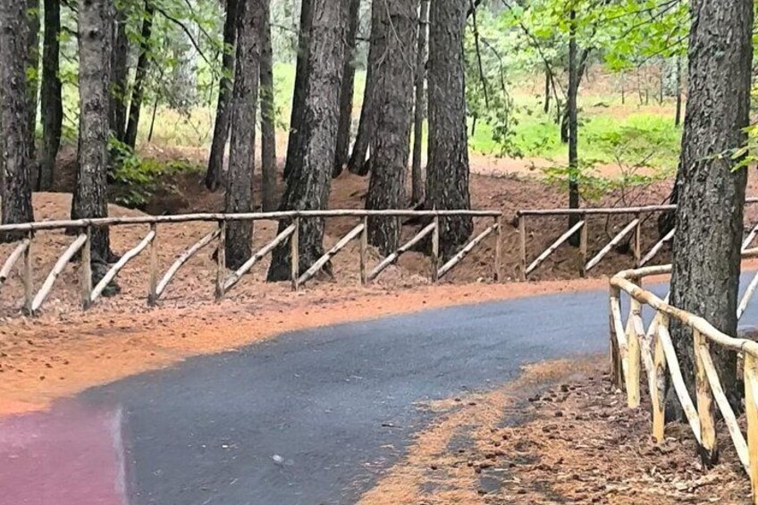 A dirt path with a wooden fence and trees. 2