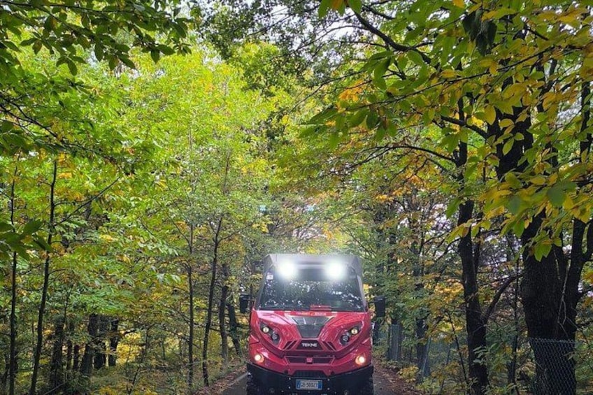 A red vehicle driving through a forested area with trees and a clear path. 3
