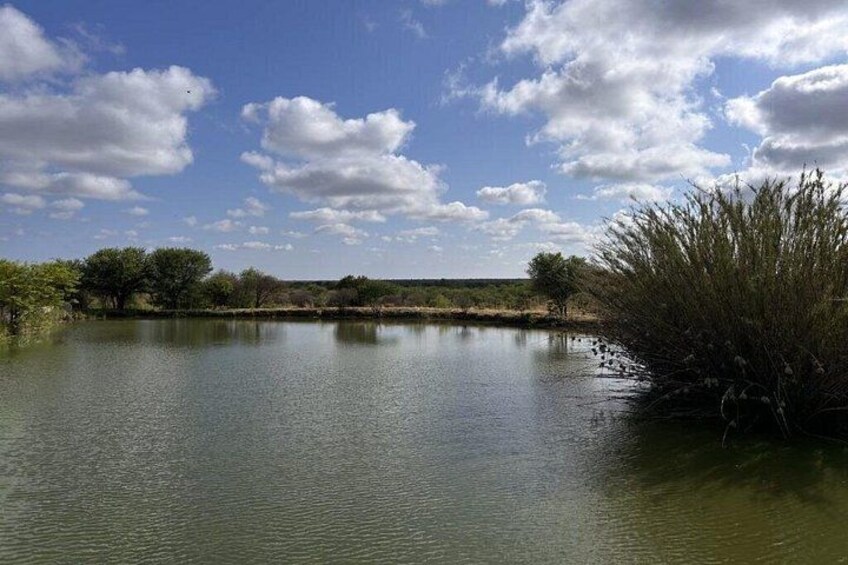 Johannesburg to Dinokeng Big Five Safari Adventure 4