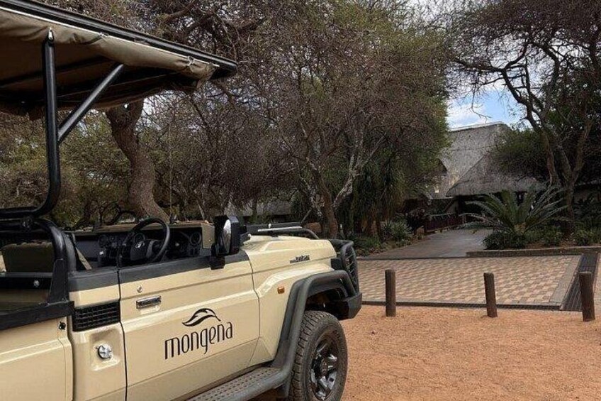 Johannesburg to Dinokeng Big Five Safari Adventure 2