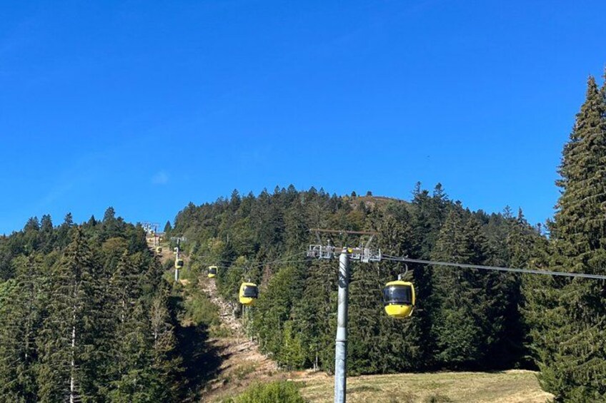 Three countries+ Blackforest and Alsace Private Car Tour for 1-6 2