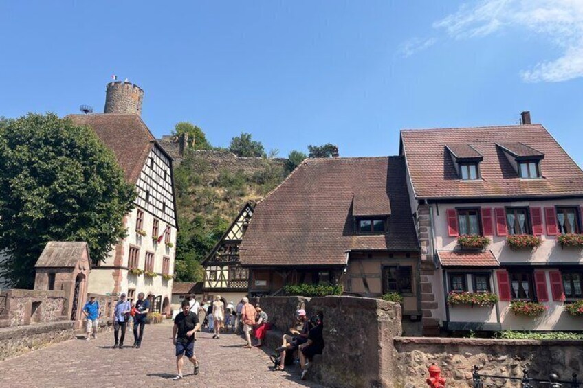 Three countries+ Blackforest and Alsace Private Car Tour for 1-6 4