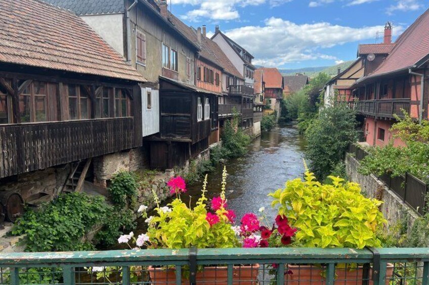 Three countries+ Blackforest and Alsace Private Car Tour for 1-6 4