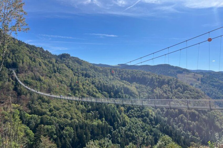 Three countries+ Blackforest and Alsace Private Car Tour for 1-6 3