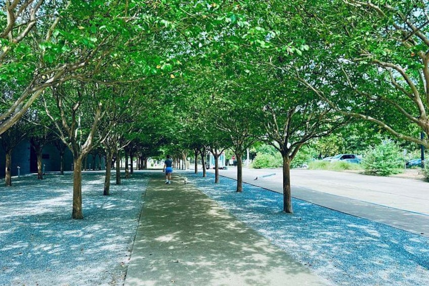 Houston Jewish History Landmarks Private Guided Walking Tour 2