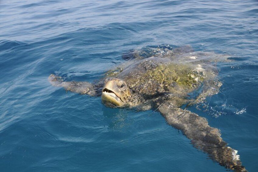 5 Day Galapagos Island Adventure Land and Snorkeling Tours 2
