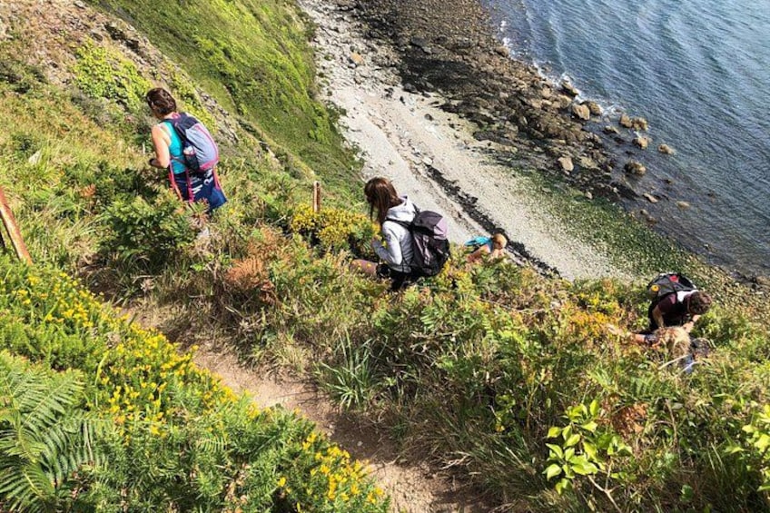 Howth Safari Hiking Tour - PRIVATE 4
