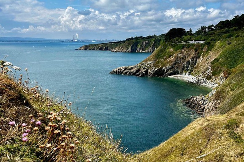 Howth Safari Hiking Tour - PRIVATE 5