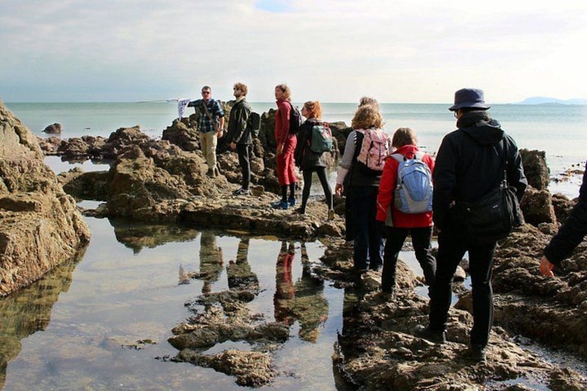 Howth Safari Hiking Tour - PRIVATE 1
