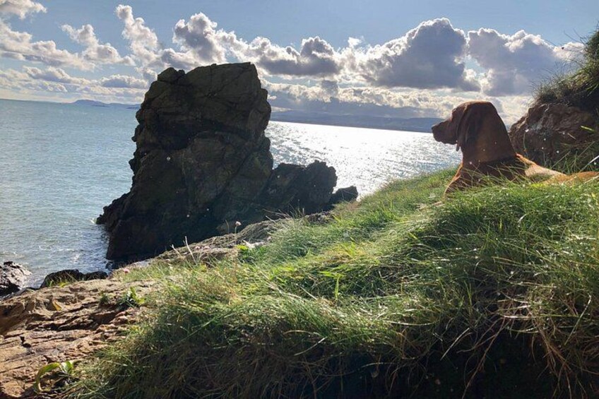 Howth Safari Hiking Tour - PRIVATE 2