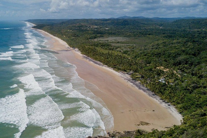 A coastal landscape with a sandy beach, ocean waves, and dense green vegetation. 2