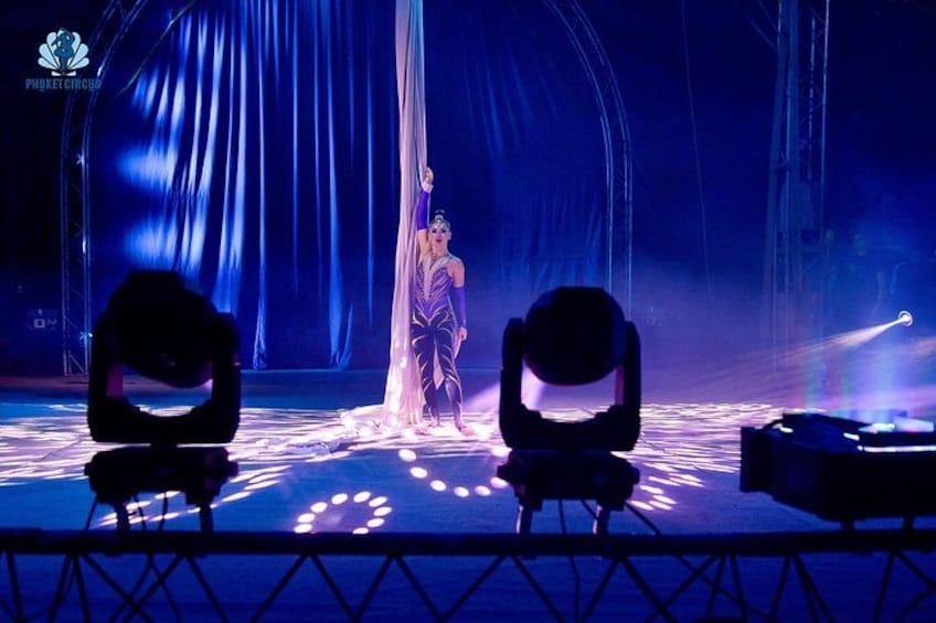 Een podium met een artiest in een paars kostuum, een spotlicht en een gordijn als achtergrond. 5