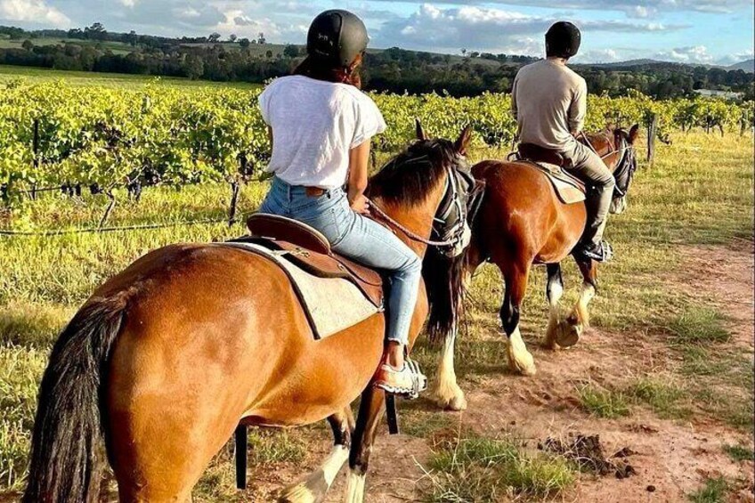 Deux personnes à cheval, qui empruntent un chemin de terre à travers un vignoble. 5