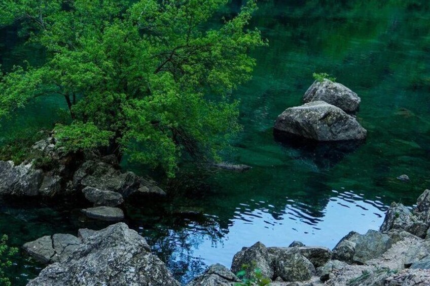 Une rivière aux eaux claires, avec des rochers et un arbre. 5