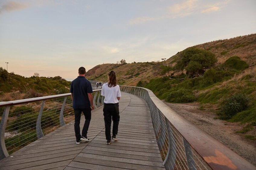 Stroll along Penguin Parade boardwalk 1