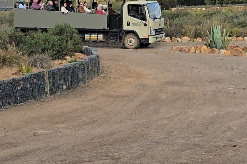 Aquila Big Five Sunset Safari with food and transport 2
