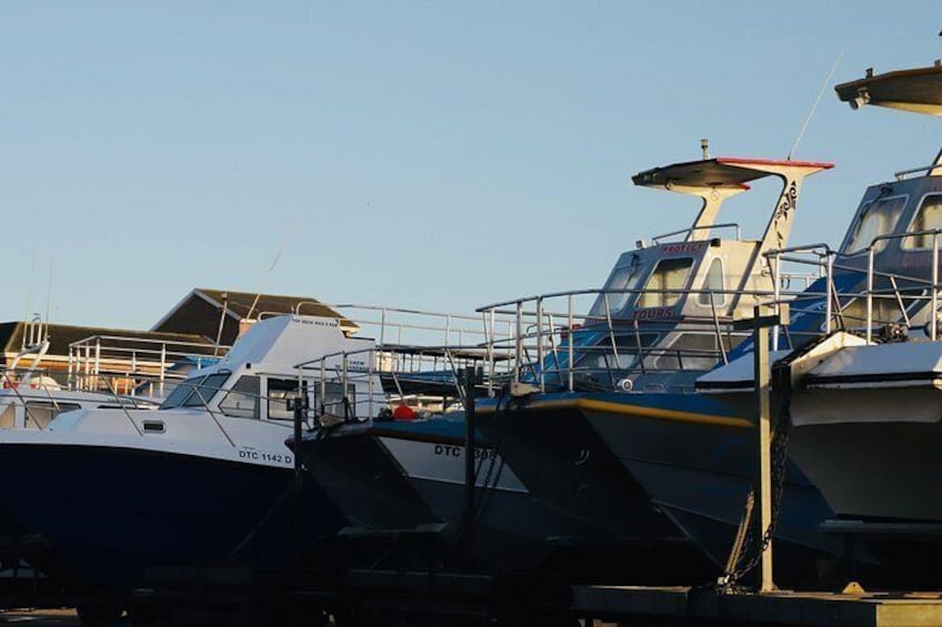 A marina with several boats docked, including a white and a blue boat with 'DTC' written on them. 5