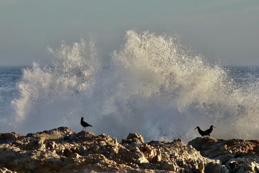 A rocky shoreline with waves crashing against it. 4