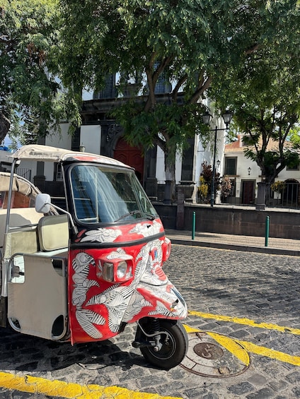 Picture 7 for Activity Madeira: Best Viewpoints Guided Tuk Tuk Private Tour 3