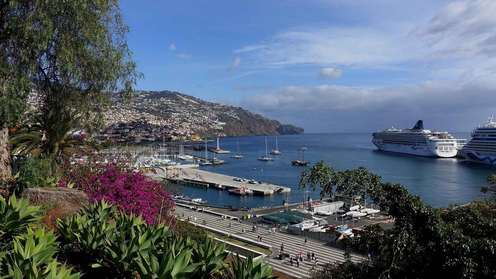 A coastal town with a marina, cruise ships, and lush greenery. 1