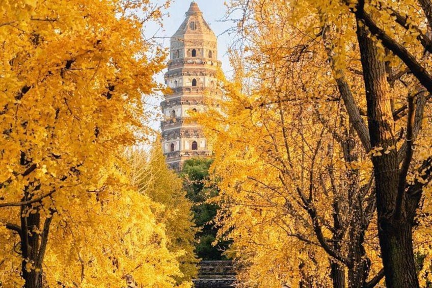 Suzhou Customized Day Trip Private Car with Lunch and Local food 1