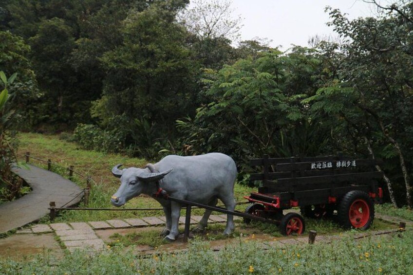 Un buey gris tira un carro negro con ruedas rojas, rodeado de vegetación y un camino pavimentado. 3