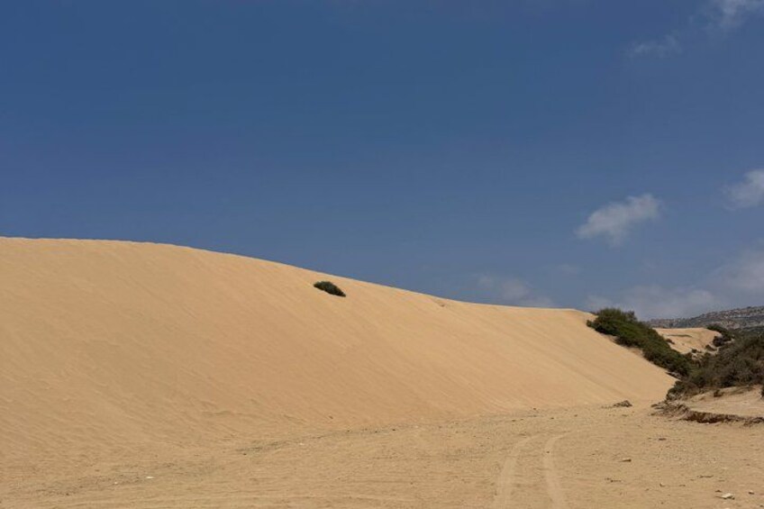 A desert landscape with sand dunes and sparse vegetation. 5