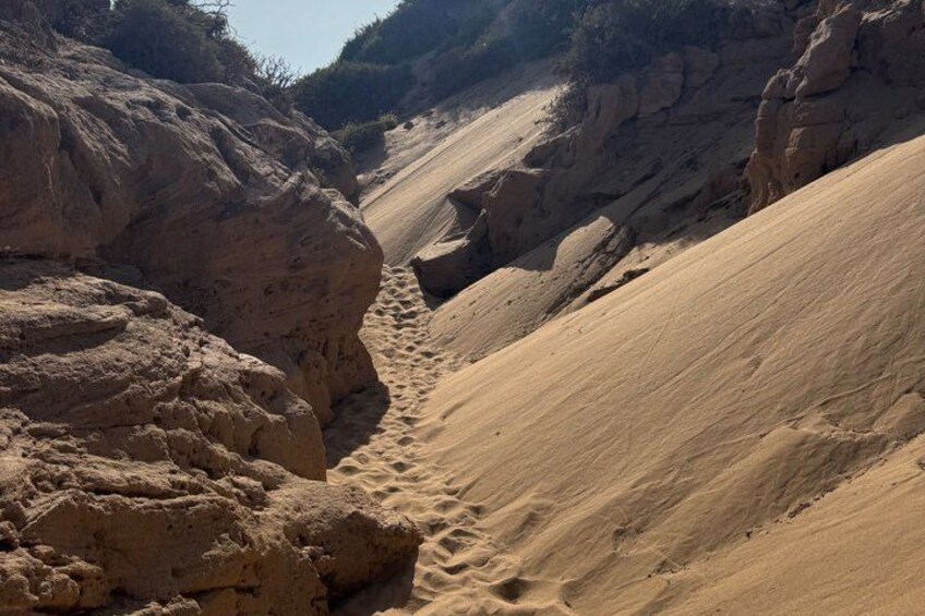 A narrow canyon with steep sandstone walls and a sandy path. 4