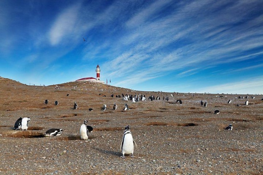 San Isidro Lighthouse & Southernmost Trek Private Shore Tour 3