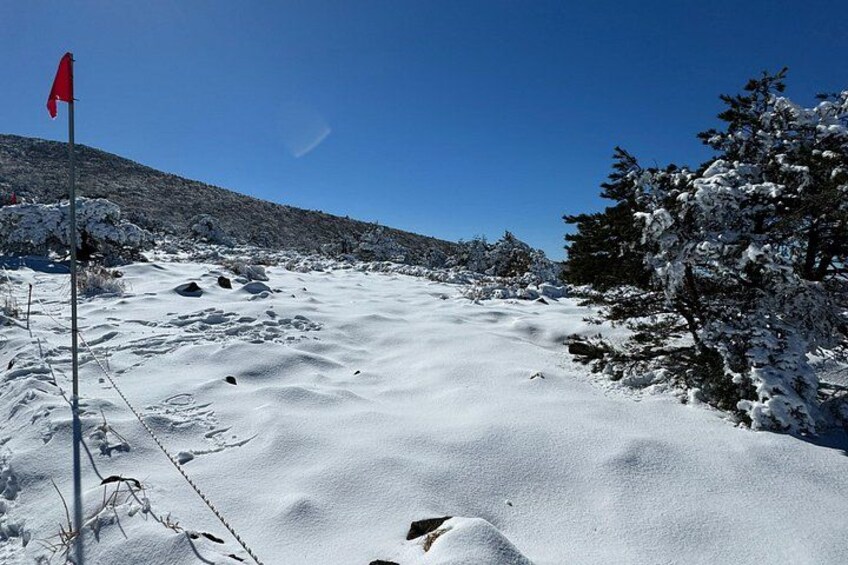Eine verschneite Landschaft mit einer roten Flagge, schneebedeckten Bäumen und blauem, wolkenlosem Himmel. 3