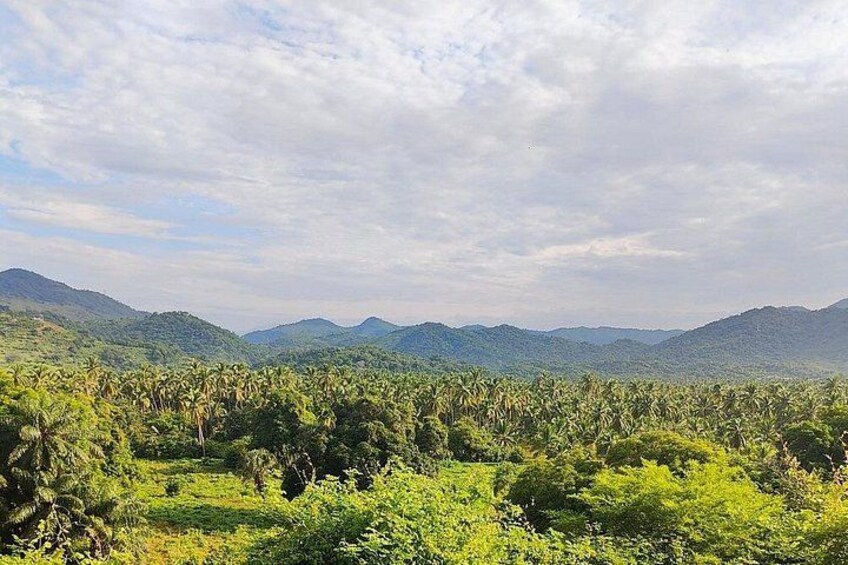 A tropical landscape with dense vegetation, rolling hills, and a clear sky. 2