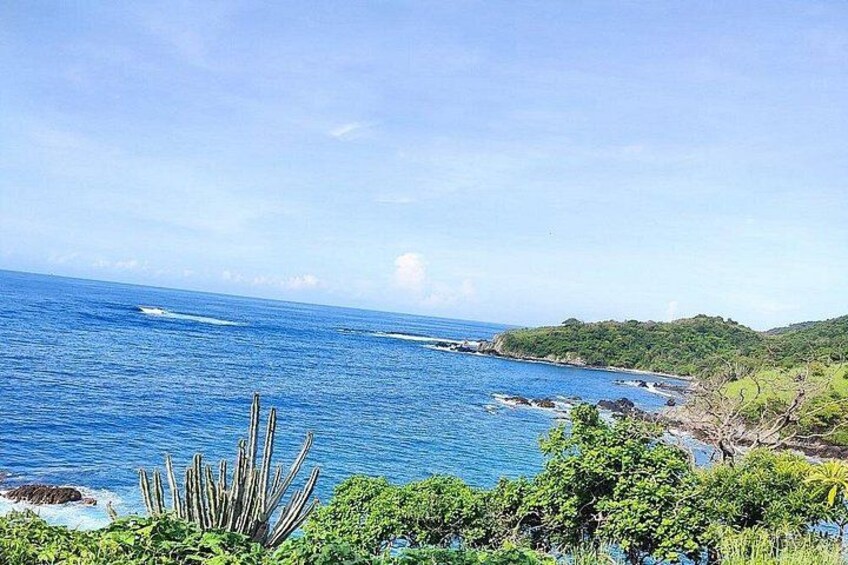 A coastal landscape with a clear blue sea, green hills, and a cactus in the foreground. 3