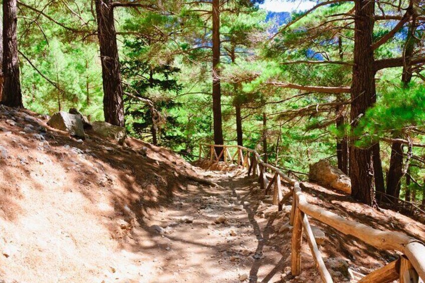 Full-Day Samaria Gorge Hiking Tour from Rethymnon 3