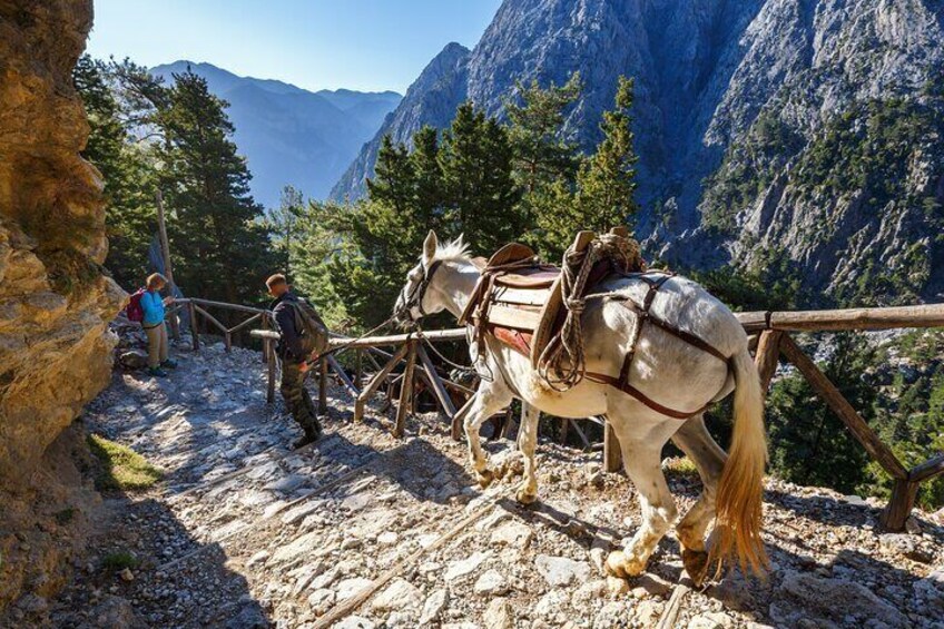 Full-Day Samaria Gorge Hiking Tour from Rethymnon 5