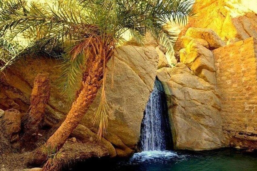A waterfall, palm tree, and rocky terrain. 1