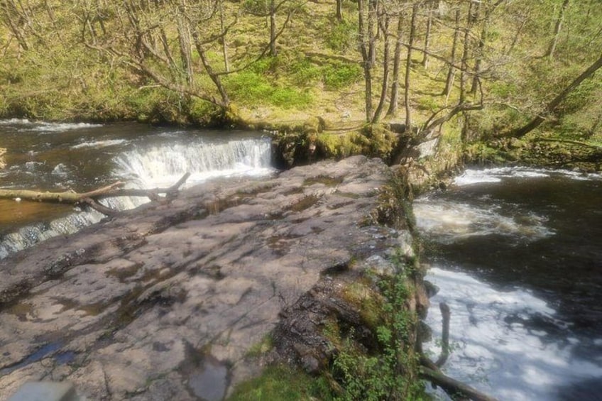 A rocky riverbank with a small waterfall and surrounding greenery. 3