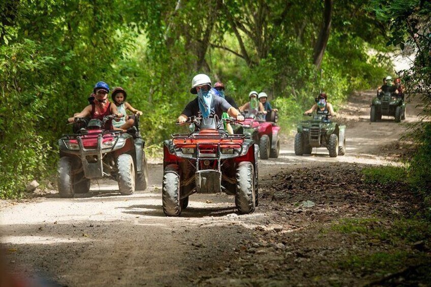People riding ATVs on a dirt path surrounded by trees. 3