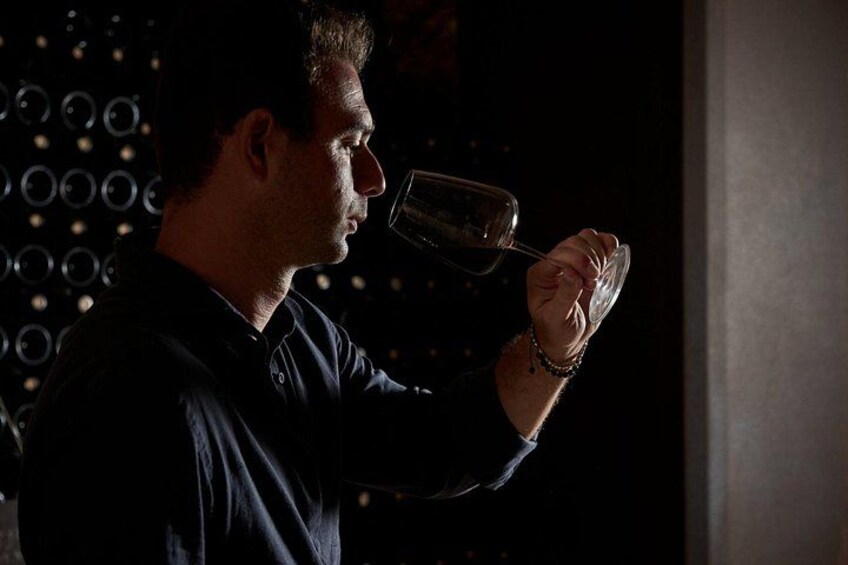 A person holding a wine glass, likely tasting wine. 4