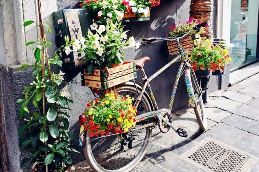 Etna Wine Tasting with Local Food Bites in Catania 2