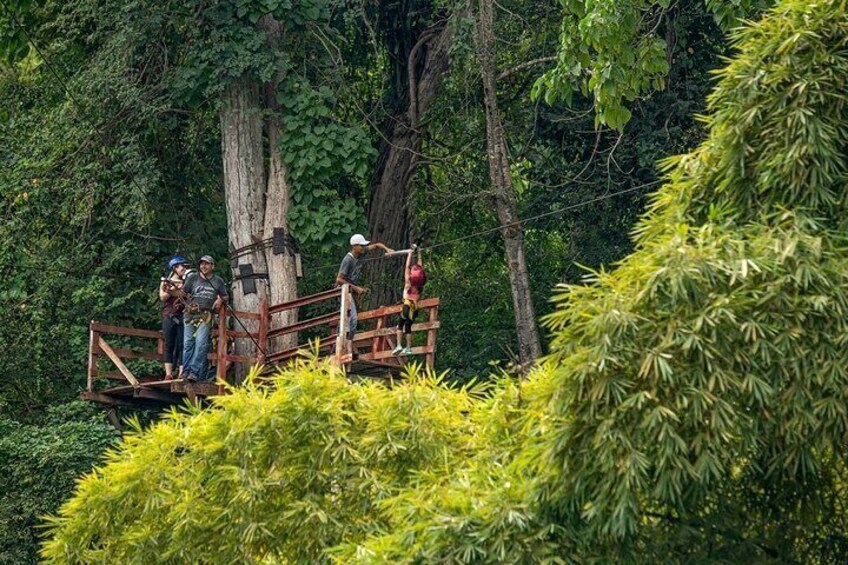A group of people on a wooden platform in a forested area. 3