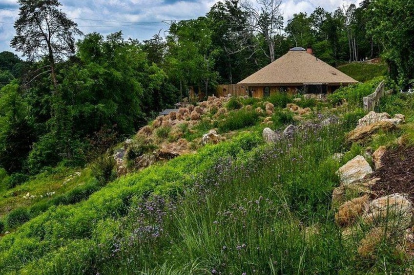 A thatched-roof house on a grassy hill with dense trees in the background. 2