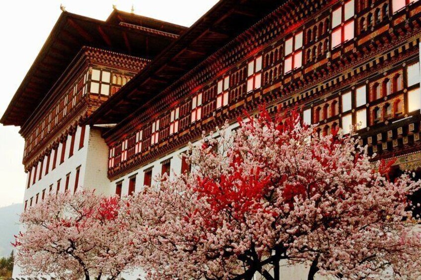 Bhutan Highlights Tour 3 Nights: Punakha, Thimphu, & Tiger's Nest 2