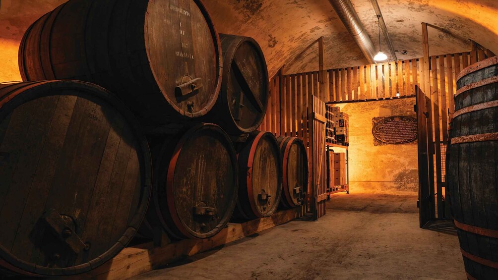 A cellar with wooden barrels stacked against the walls. 3