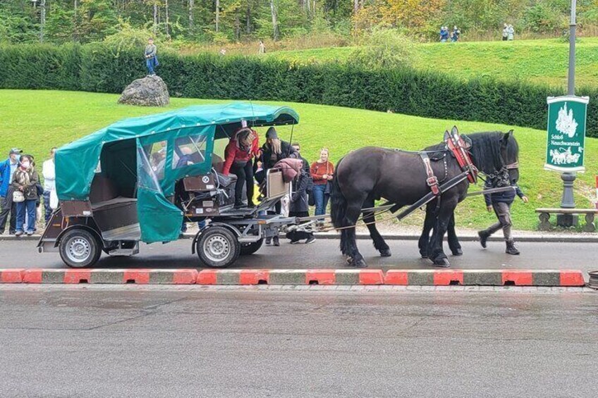 Carriage Horse 3