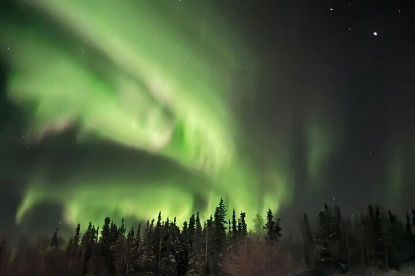 Private Aurora Hunting Experience in Luxury SUV with Photos 3