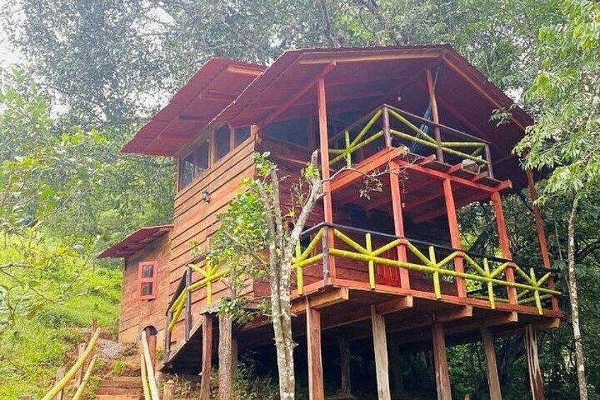 Una casetta sugli alberi in legno con tetto rosso, immersa nel verde. 2