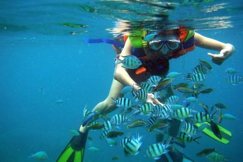 A person snorkeling underwater surrounded by fish. 3